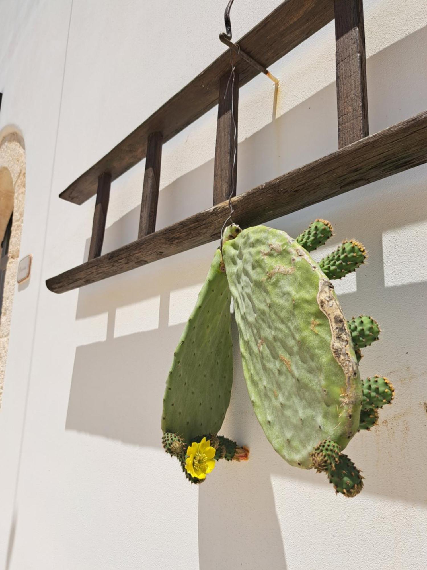 Borgo Altobello Cisternino Exterior photo